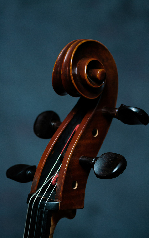 Duo Guitare- Violoncelle « Canopée »