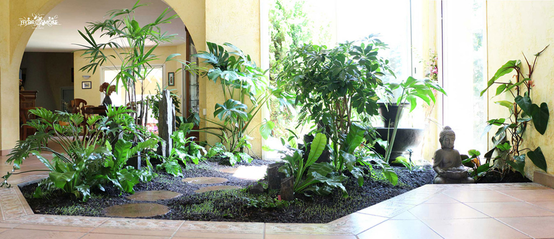jardin d'intérieur 