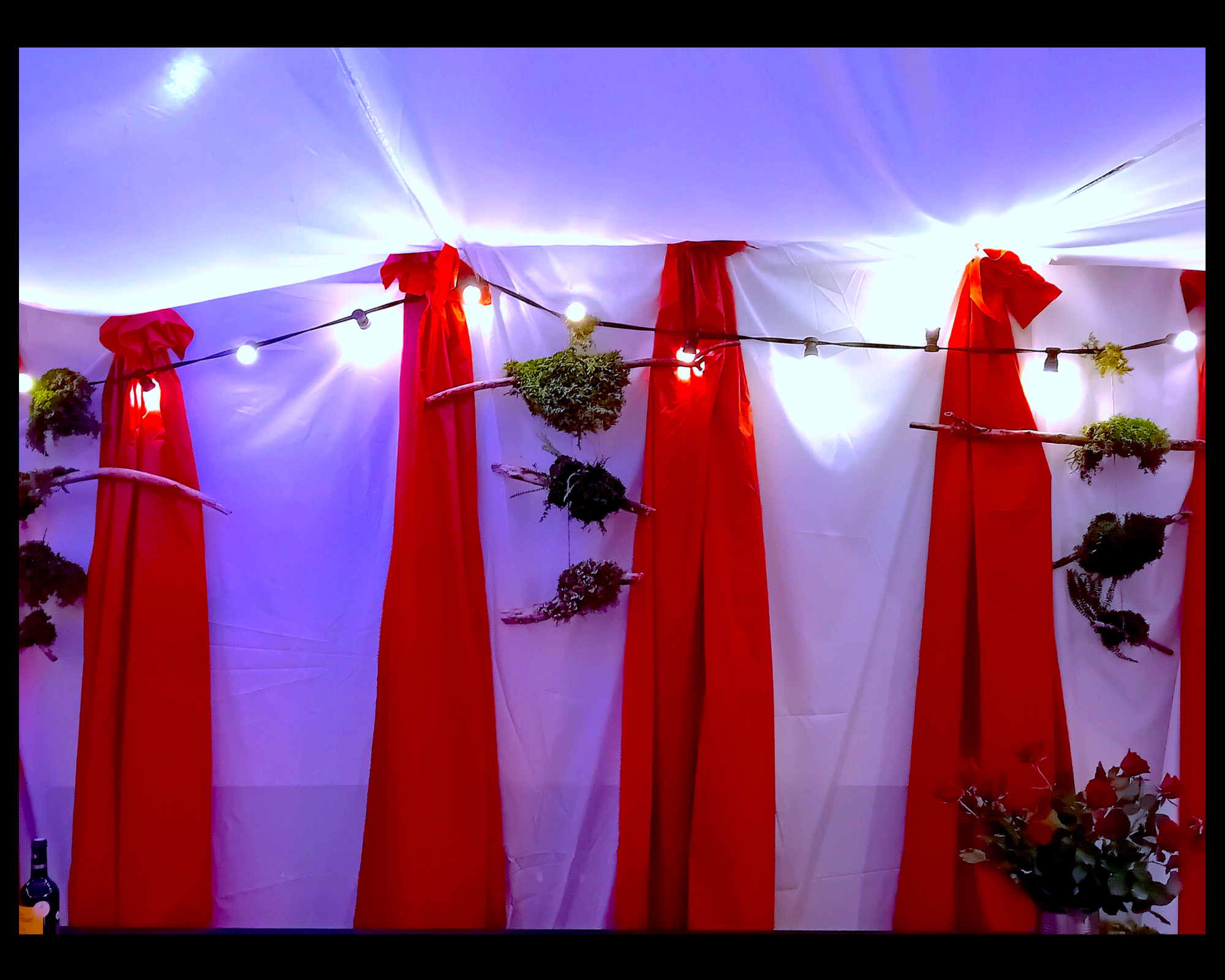 Décoration de salle pour un mariage Théme nature, installation de grand tissus au plafond et sur les murs. Spots avec gélatines de couleur au dessus des tissus.
