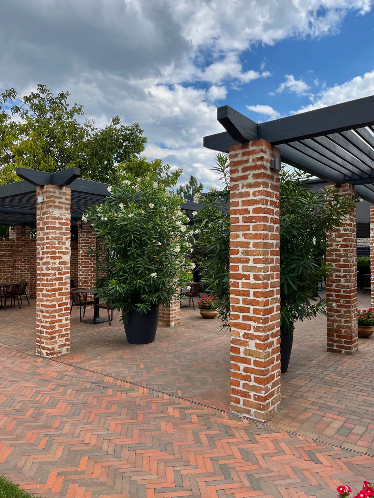Pergola métallique en acier sur une terrasse